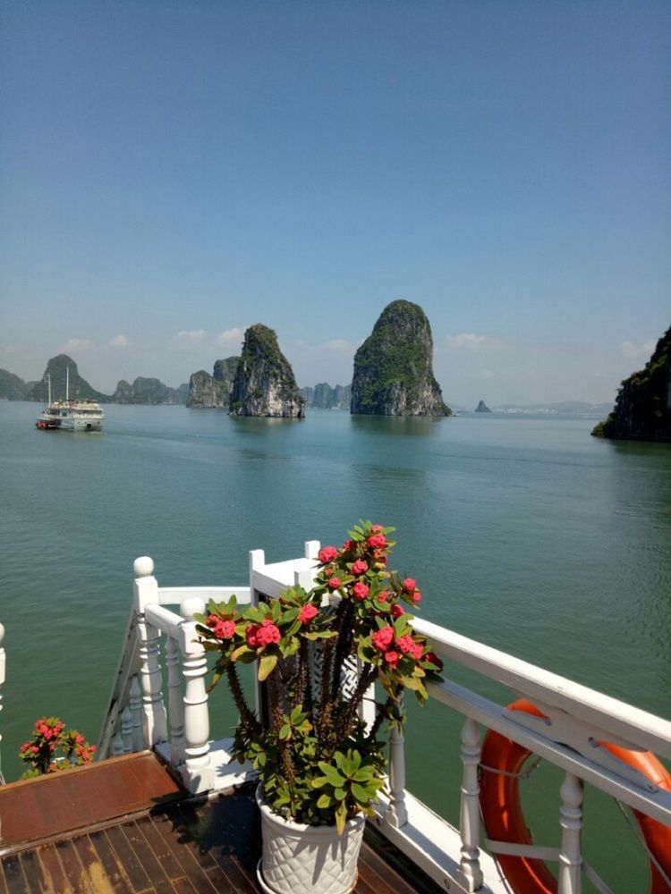 Halong Lavender Cruises Otel Ha Long Dış mekan fotoğraf